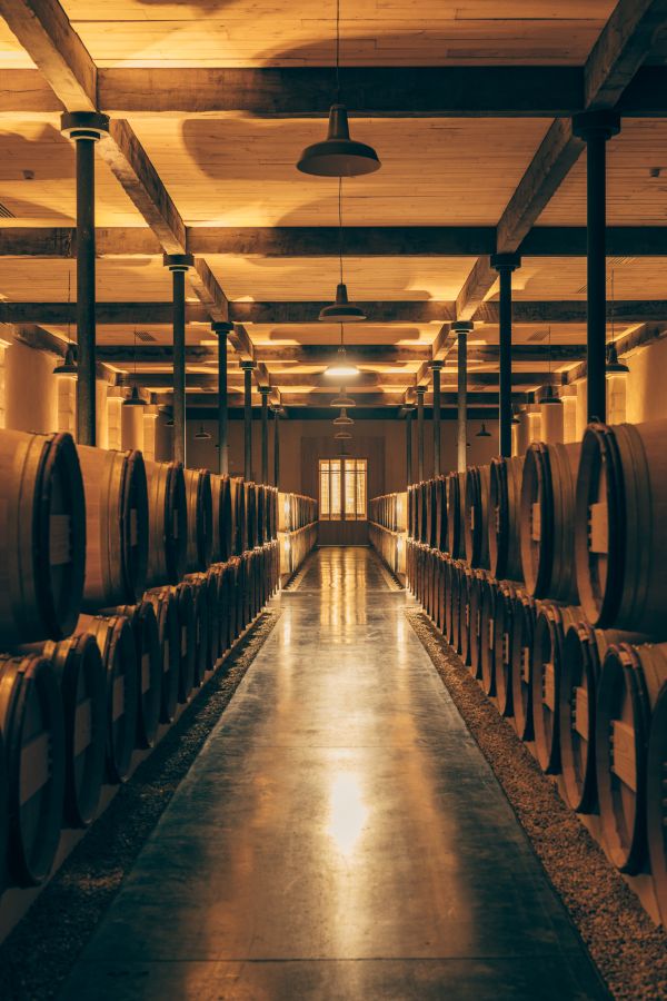 Cellier Château Rauzan-Ségla