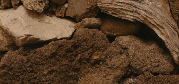 L'argile et le terroir